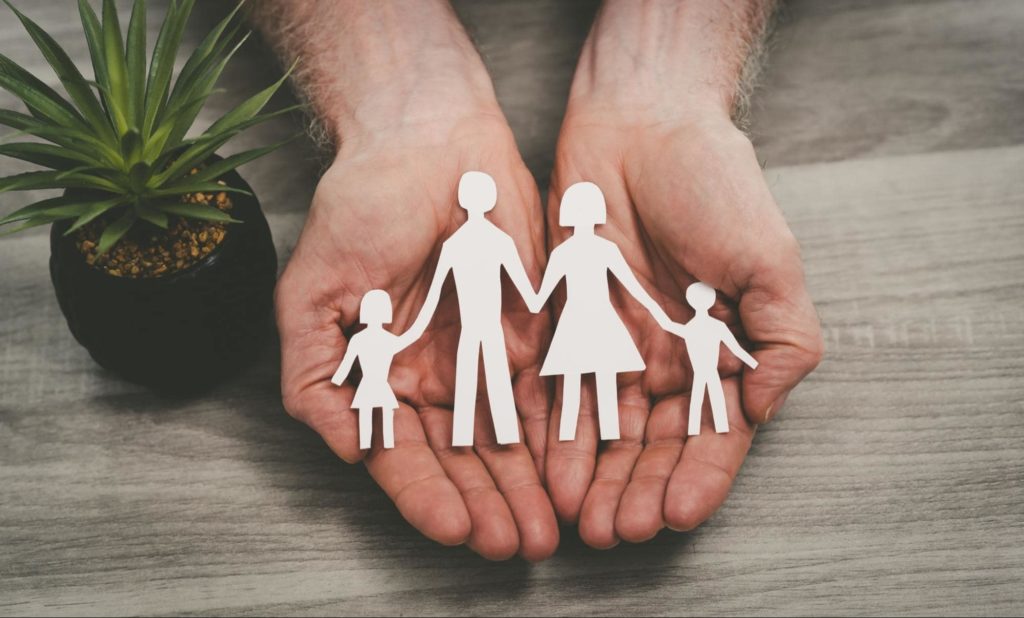 A picture of hands holding a paper cutout of a family. Pictured in the photo is a succulent.